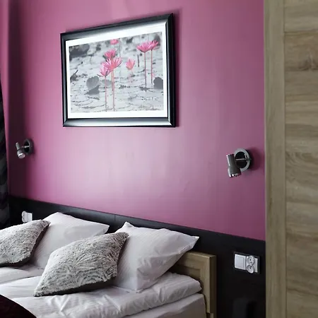 Apartman Comfort-24 Słupca