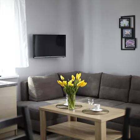 Comfort-24 Apartman *