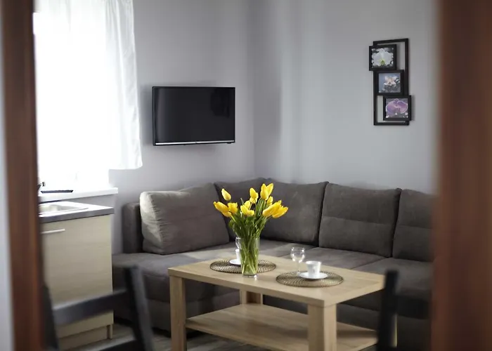 Comfort-24 Apartman *